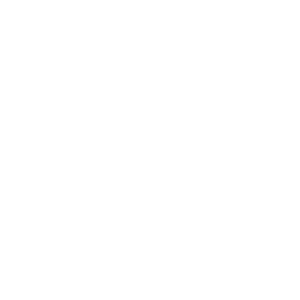 Bhargava_txt